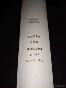 Chyžna pod horami - 10