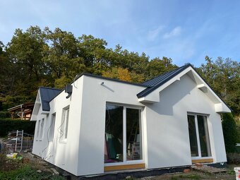 LEŠENIE - DEBNENIE - 10