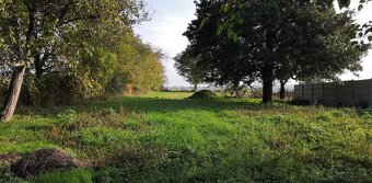 Predaj rodinného domu s veľkým pozemkom v Jasovej - 10