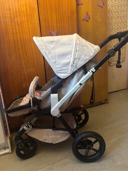 Kocik Concord Wanderer - 10