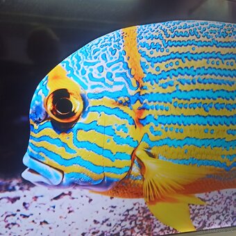 Samsung 55(138cm) smart led tv - 10