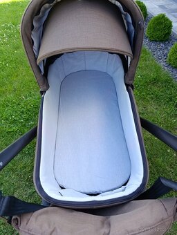 Kočík Roan Coss - 10