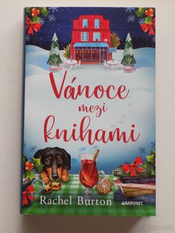 Romantika-Baggot,Probst,Wild,Bloom,Tonge,Schaler a iný - 10