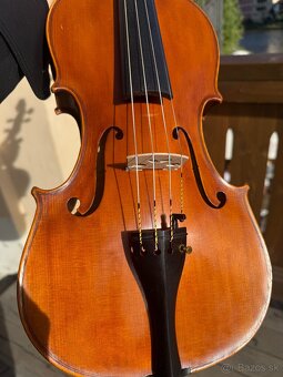 Viola 40cm - 10