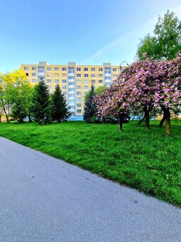 PREDÁM 3 - IZBOVÝ BYT S BALKÓNOM, KOŠICE - TERASA - ZÁPAD - 10