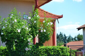 PREDAJ – RODINNÝ DOMČEK VEĽKÁ DOLINA - 10