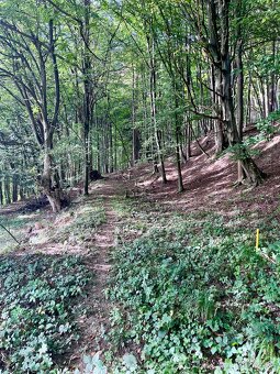 Pozemok s prechodom priamo do lesa - 10