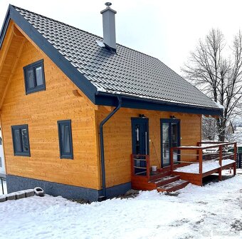 VIANOCE A SILVESTER - 10