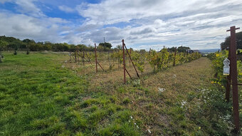 Veľký pozemok v obci Rybník - časť Kráľovka o výmere 3097 m2 - 10