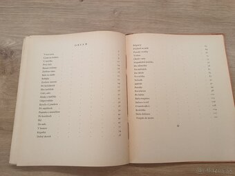 Z mesta na dedinu 1929 ilustroval Hála - 10