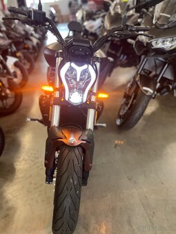 BENELLI 502 C. R.v.2022 35 kW - 10