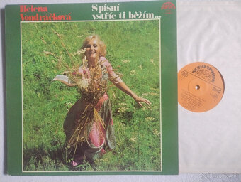 LP a singel vinylové platne - rôzne - 10