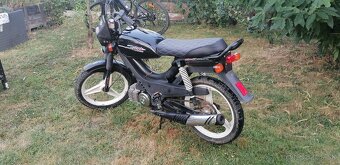 Manet korado "cafe racer - 10
