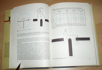 Lovecká střelba - 10