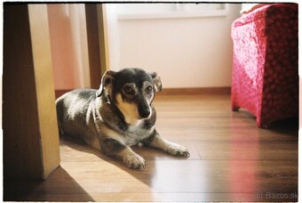 Konica Pop-10 - zánovný - 10
