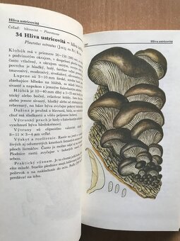 5 x huby - 10