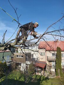 Výškové práce: pílenie stromov, natieračské, montážne - 10