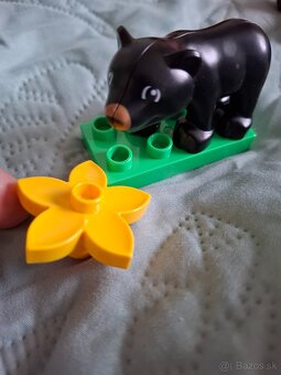 Lego Duplo - 10