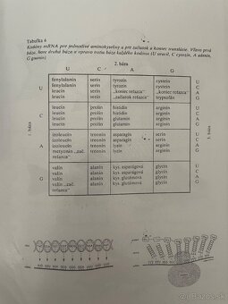 podklady na lekársku fakultu na UPJŠ v Košiciach - 10