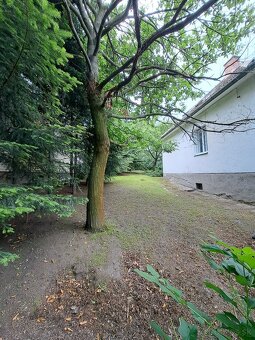 Rodinný dom na predaj - Staré mesto - 10