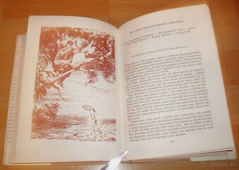 Lovy v Karpatech - 10