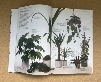 Knihy Príjemný Život s Kvetinami Obľúbené Izbové Kvety - 10