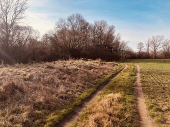 Pozemok - Lúka, Malé Leváre, 26 385 m² - 10