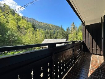 Dovolenka v Slovinsku (Bohinj-Bled) - 10