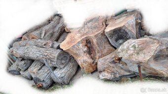 Predam orechove drevo - 10