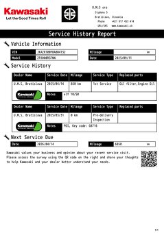 Kawasaki ZH2 SE - 10