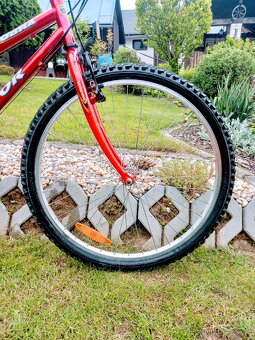 Bicykel Vector-Cobra - 10