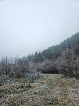 Frézovanie kríkov - 10