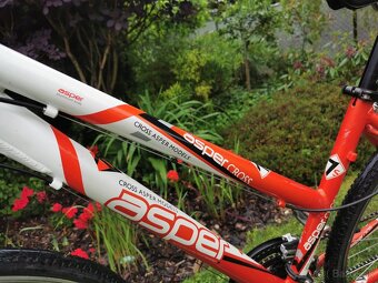 Crossovy bicykel Asper - 10