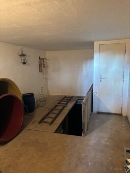 PREDAJ, PODLUŽANY - VINIČNÝ DOMČEK S VINOHRADOM - 10