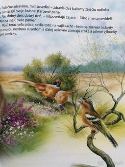 Medzi nami dievčatami, Božena Němcová: Babička, Goofy - 10