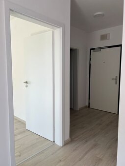 NOVOSTAVBA NUPPU - 2izb.apartmán s balkónom - 10