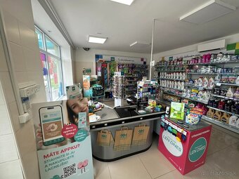 Prenájom rodinného domu Diakovce na obchodné účely - 10