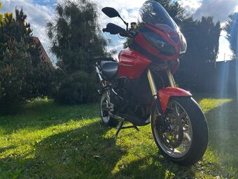 Triumph tiger 1050 - 10