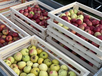 Debničky z dreva - 10