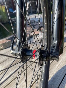 CTM DIRTKING PRO 2020 - 10