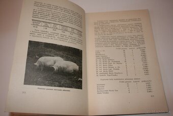 Kalendár HSĽS 1944... - 10