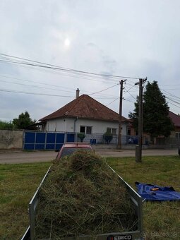 Kosenie vysokej trávy - 10