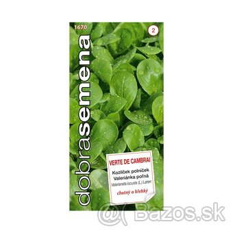 Cucamelon, machovka, melón - semená - 10