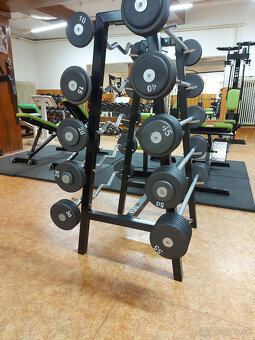 Bicepsová osa pevná váha (rovná, EZ) - NOVÁ - 10