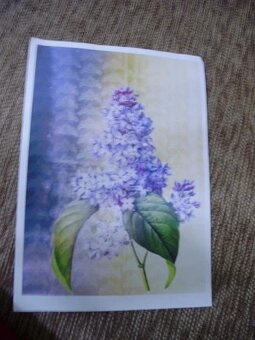 Nite na šitie,cievky,šablóny,látky bavlna,vatelín,panel,vlny - 10