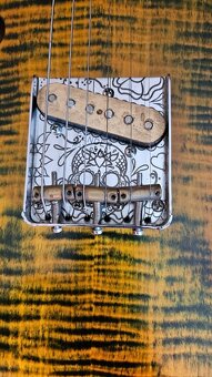 Fender Custom No.1 Exotic Line Aztec Spirit s kufrom - 10
