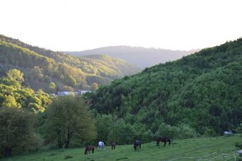 Rodinny dom Kralova Zvolen - 10
