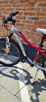 Bicykel Specoalized 24" junior cervenobordovy - 10
