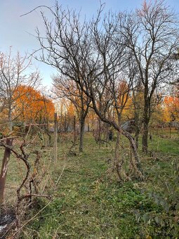 Rodinný dom v obci Tibava - 10