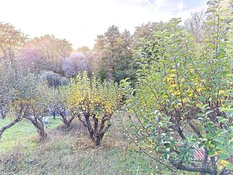 Predaj - záhrada s rozostavanou tehlovou chatou na okraji St - 10